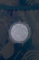 joy_Frozen9.jpeg
