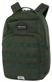 army green1_2500.jpg