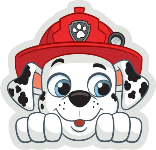 paw201064.jpg