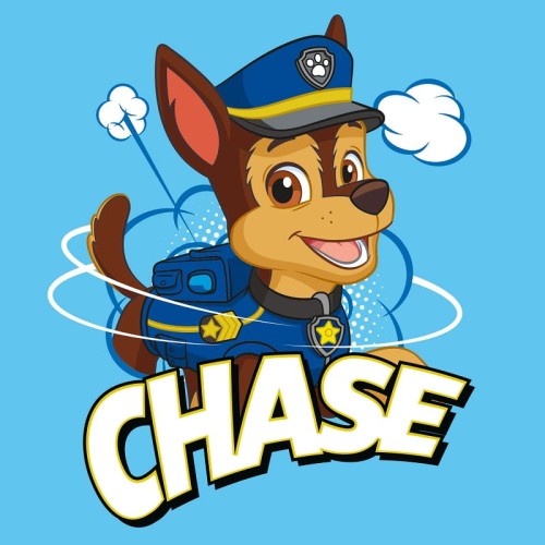 paw-patrol-recznik-drukowany-30x30cm-magic-towel marshall.jpg