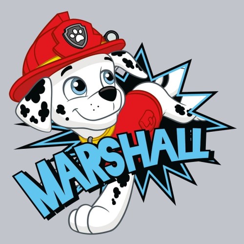 paw-patrol-recznik-drukowany-30x30cm-magic-towel marshall2.jpg