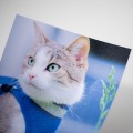 papier foto 273130_oryg.jpg