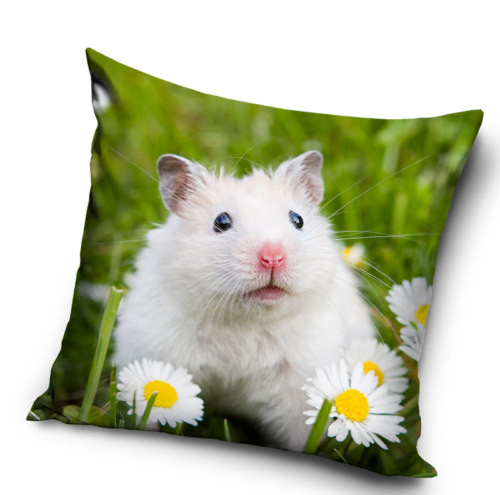 pd211144pillow sim świnka chomik.png