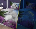 2722_C_--02.jpg
