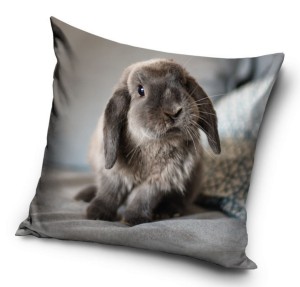 Poszewka ozdobna 40x40 królik króliczek 