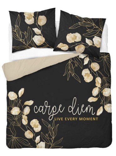 4408 carpe diem2.jpg