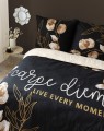 4408 carpe diem6.jpg