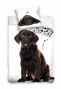 Pościel Młodzieżowa  160x200 bawełniana pies labrador 