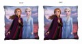 FROZEN-FZ2_PILLOW.jpg