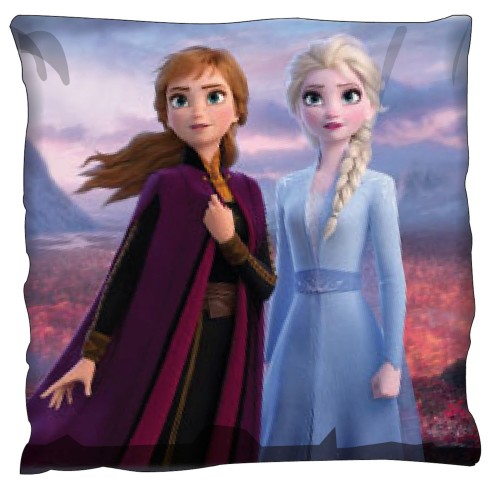 FROZEN-FZ2_PILLOW1.jpg