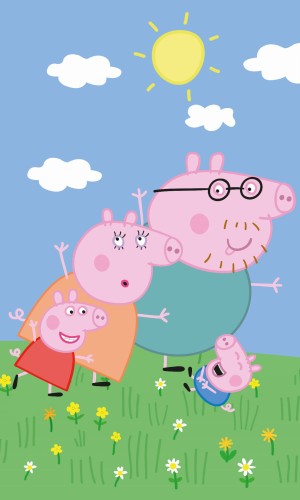 PP225069 30x50.jpg
