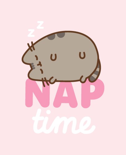 pusheen-koc-poliesterowy-130x160cm-ptc248004-koc NAP.jpg