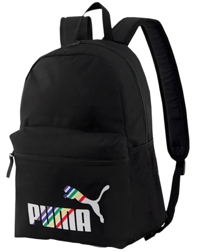 puma tęcza.jpg