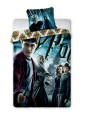arry potter 04_1.jpg