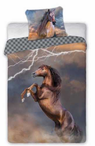 mustang pioruny.jpg
